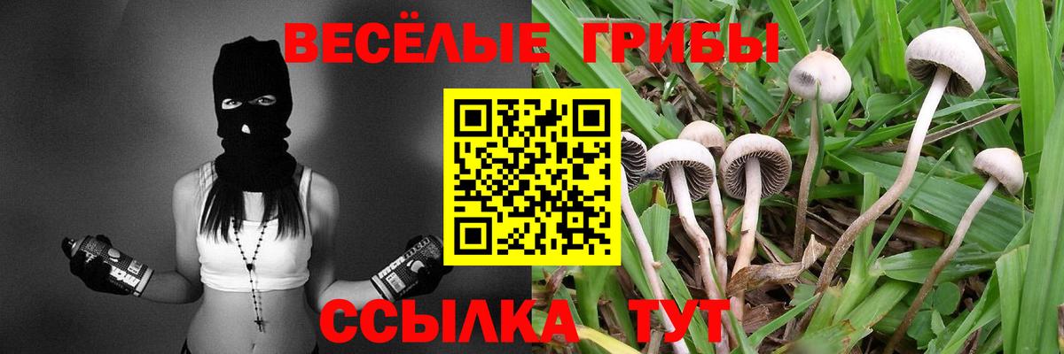 Галлюциногенные грибы мицелий Петрозаводск